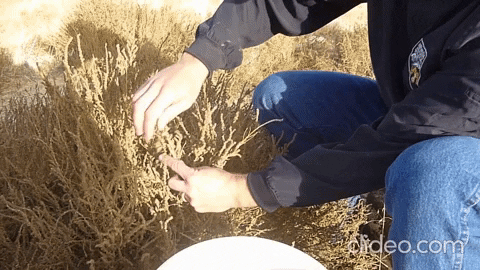 cpcutshaw giphygifmaker GIF