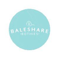 Beach Camping Sticker by Baleshare Bothies