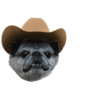 Chicago Craft Beer Sticker by Maplewood Brewery & Distillery