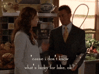 season 4 netflix GIF by Gilmore Girls 