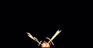Acoola boom acoola GIF
