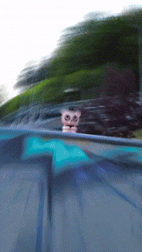 Pony Freddy GIF by Youtooz