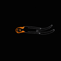 animation flying GIF