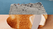 cat power cassius official GIF by CASSIUS