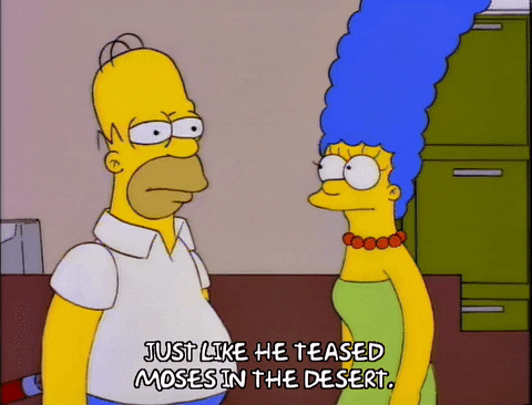 homer simpson GIF