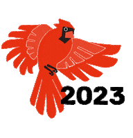 Wes Cardinal Sticker by Wesleyan University