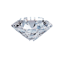 Sparkle Diamond Sticker by Lauren B Jewelry
