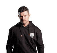 Swipe Sticker by STIHL TIMBERSPORTS®