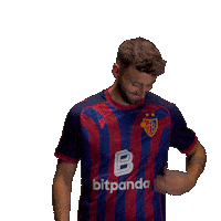 Football Soccer Sticker by FC Basel 1893