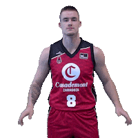 Swipe Up Liga Endesa Sticker by ACB