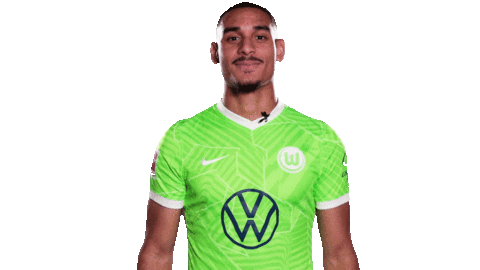 Football Sport Sticker by VfL Wolfsburg