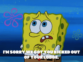 season 6 grandpappy the pirate GIF by SpongeBob SquarePants