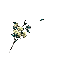 LeQuartierAnime flowers 2danimation animatedillustration lequartieranime Sticker