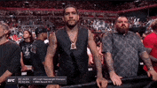 Mixed Martial Arts Sport GIF by UFC