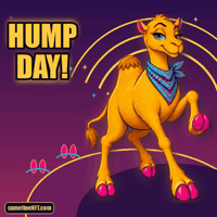 Wednesday Hump Day GIF by CamelToe