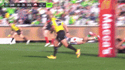 Nrl GIF by Canberra Raiders