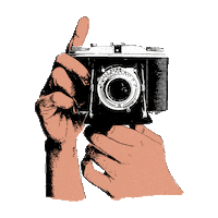 trianamendozagallardo photo camera photos photographer Sticker