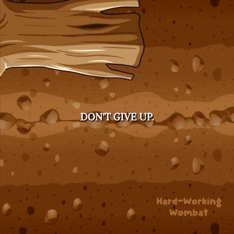 Keep Going You Can Do It GIF by VeeFriends