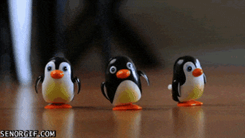 puppies toys GIF by Cheezburger