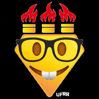 UFRR ufrr GIF