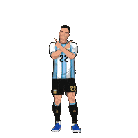 World Cup Football Sticker by Panini America