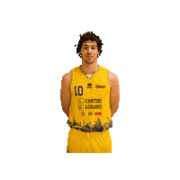 Basketball Pallacanestro Sticker by Olimpia Legnaia Basket Firenze