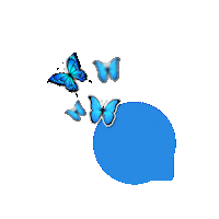 elistorycriativo butterfly borboletas elistorycriativo sticker borboleta Sticker