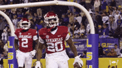 Razorback Football Dj GIF by Arkansas Razorbacks