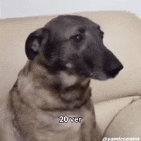 Gariban GIF