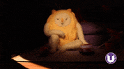 Scared Motion GIF by School of Computing, Engineering and Digital Technologies