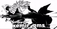 Garou Goku Mui GIF