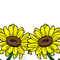 Skincare Sunflower Sticker by Derma Express