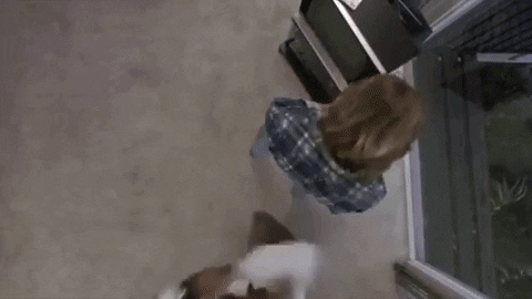 jluster01 giphygifmaker GIF