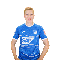 Celebrating Sticker by TSG Hoffenheim