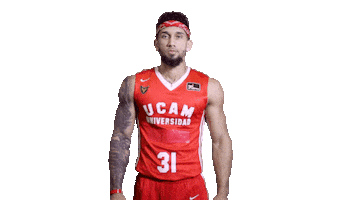Liga Endesa Basketball Sticker by ACB