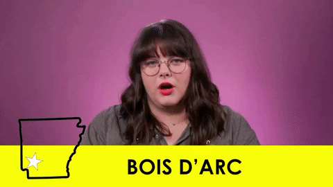 veronicajones98322ceca7c24f489e1d7b2d1a9fc5bf giphyupload GIF