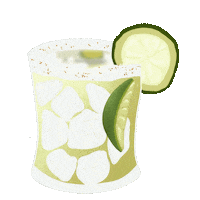 Santa Cruz Drinking Sticker