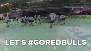 red bull pov GIF