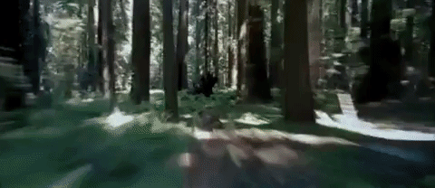 return of the jedi episode 6 GIF by Star Wars