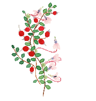 Plant Finland Sticker by Payot