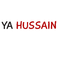 Muslim Ali Sticker
