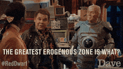 Red Dwarf Cat GIF