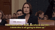 news impeachment impeachment inquiry fiona hill GIF