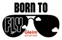 Sunglasses Fly Sticker by GleimAviation