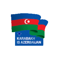 Energy Drink Sticker by Bizon Energy