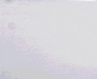 DarrenJohn artist business boss shake GIF