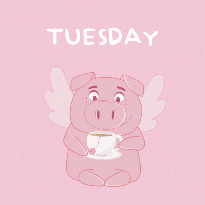 Flying Pig GIF by PositivelyPigasus