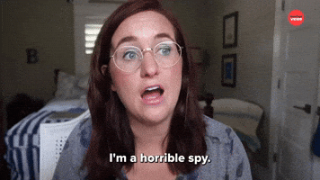 I'm A Horrible Spy