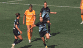Goalcelebration GIF by National Women's Soccer League