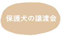保護犬 Sticker
